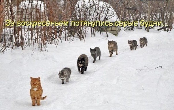 Яркое только воскресенье..