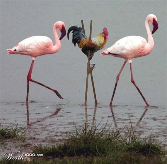 Замаскировался