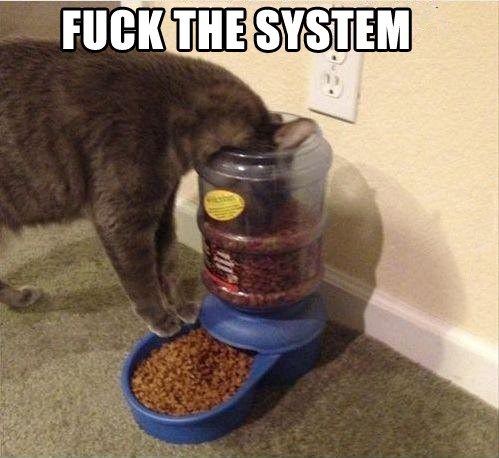 хакнул систему