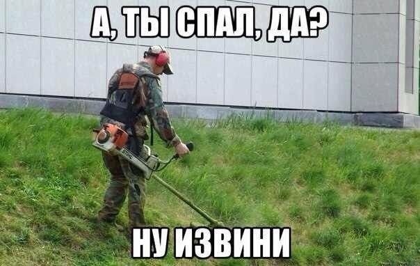 И так каждое утро