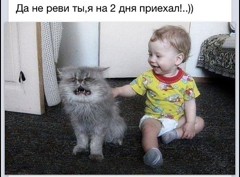 приехали в гости