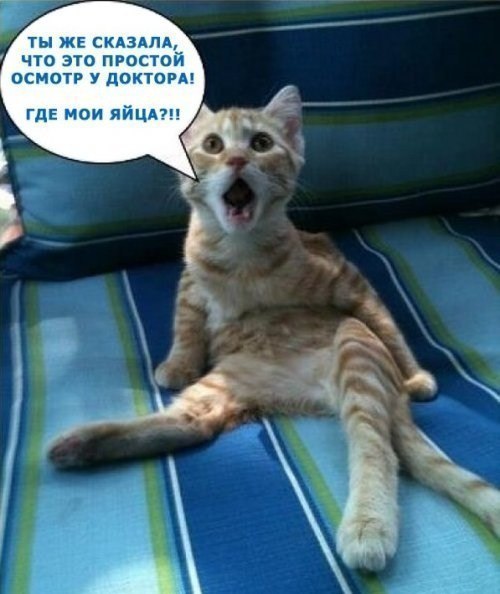 Осмотр у доктора