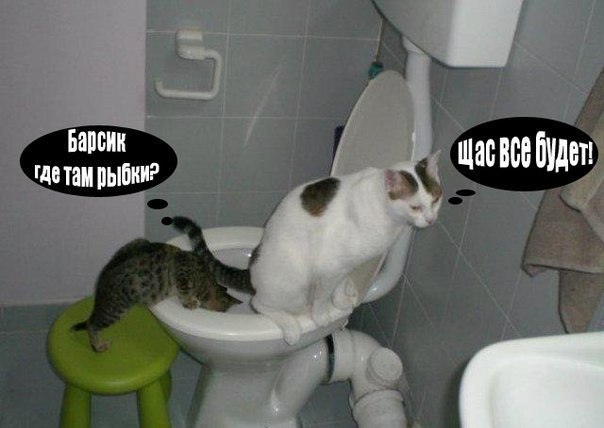 Барсик! Что ты такое съел?