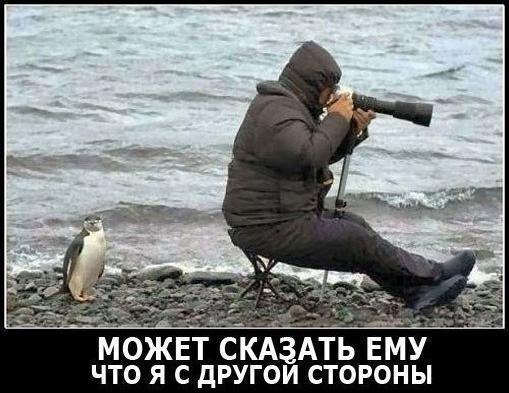 А может он девок фотает