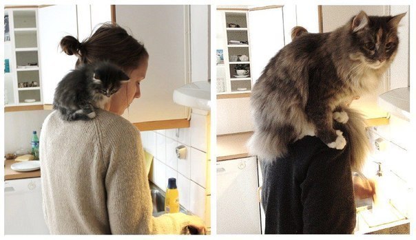 Начало ------ Спустя 10 лет