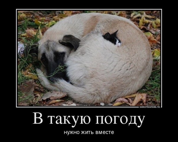 Что мне снег, что мне зной, что мне дождик проливной, когда мои друзья со мной..