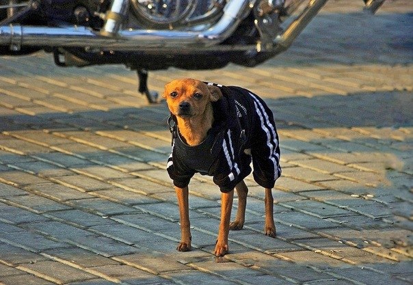 Конкретный пацан