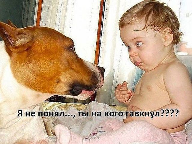 рамсы попутал..