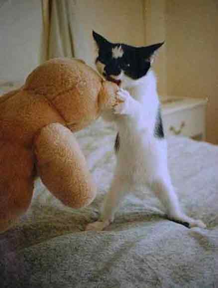 Винни и крышеватель пчёлок