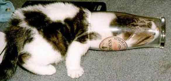 О боже, спасибо за последнюю каплю