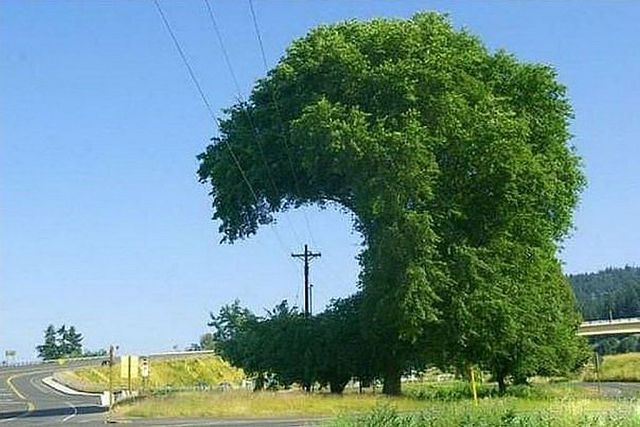 Так хочется чего-нибудь перекусить...