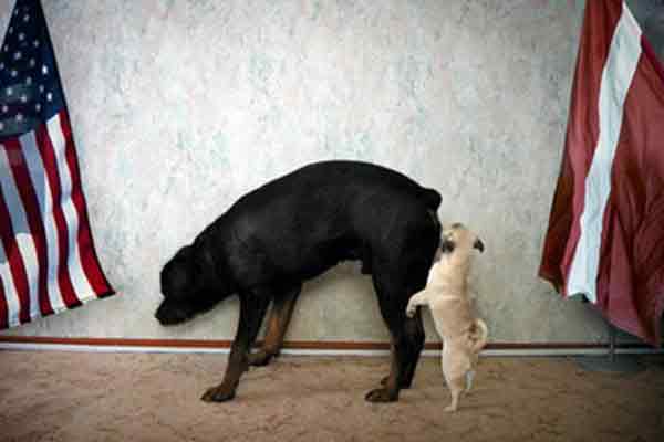 Американско-латвийские отношения... развиваются динамично:))