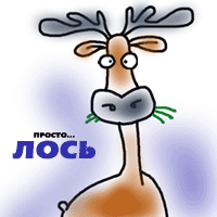 Обычный лось,чё тут такого?