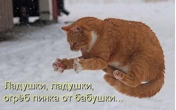 Вот такие ладушки я отгреб у бабушки!