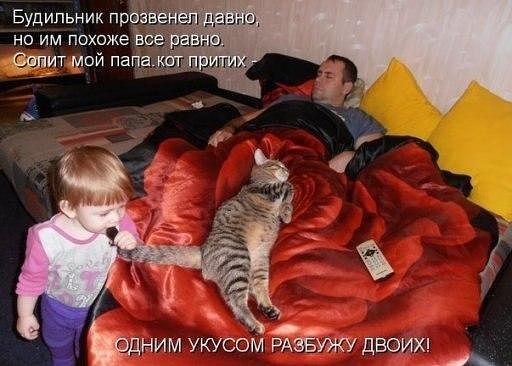 Идея пришла мгновенно