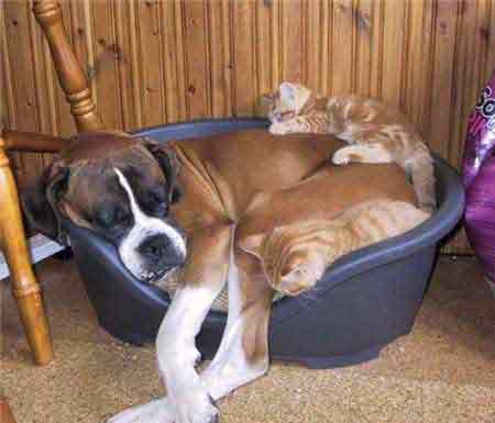 Ноги некуда поставить!