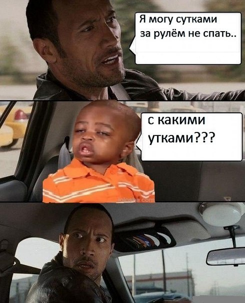 Уточки непоняточки