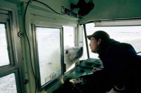 Дай лизнуть!