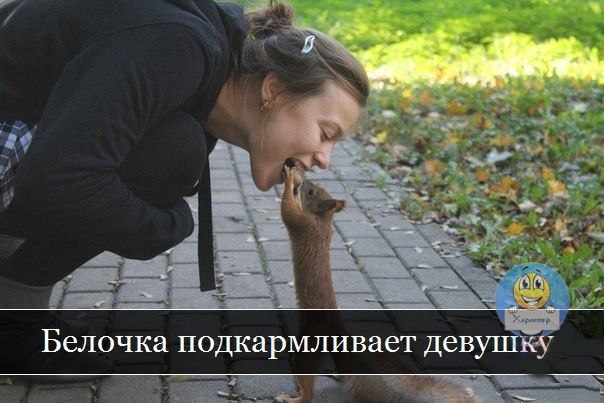 Белочка и студентка.