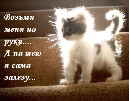 Мы, женщины, в любом обличии одинаковы :)