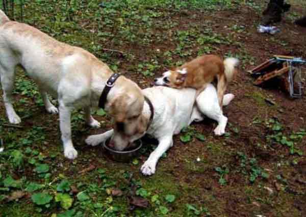 Кому чего не хватает.