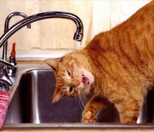 понедельник...сушняк....