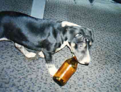 а что, у меня тоже Новый год был..