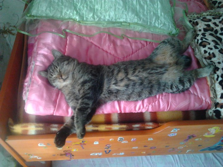 кому как а второй ярус мой