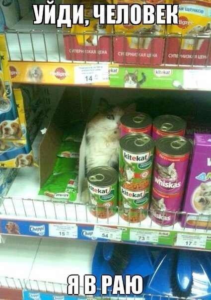 Уйди человек, я в раю