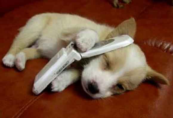 Перезвоните позже. Хозяин занят.