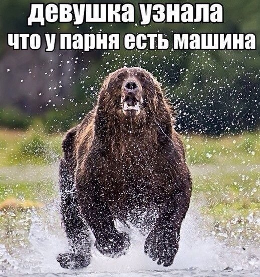 Девушка узнала что у парня есть машина