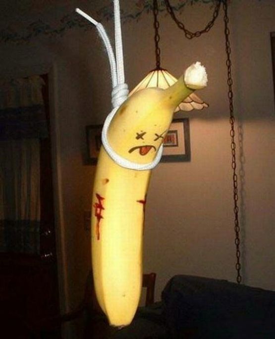 Его не сьели,сам повесился!