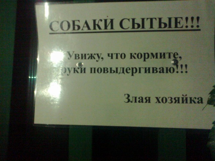 Хозяйка о-о-о-очень злая...!!!