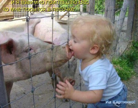 Три поросёнка. Вариант сказки в ХХI веке....