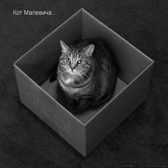 Кот Малевича