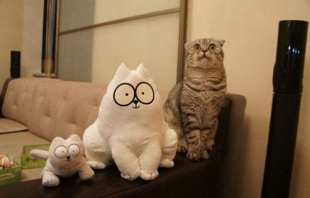 Он явно в шоке