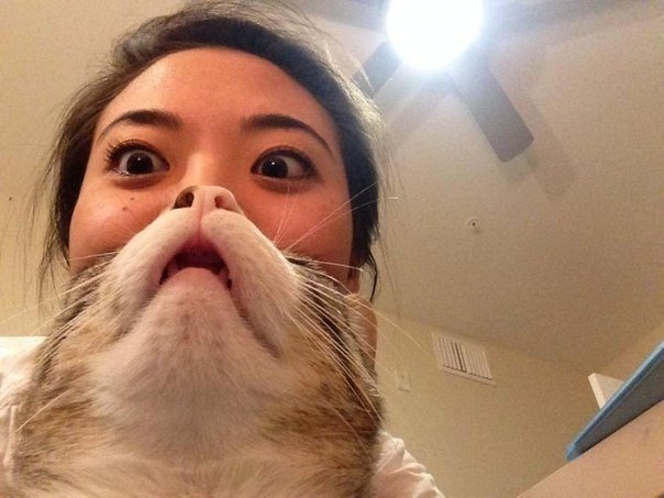 женшина кошка дуболь 2