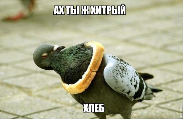 Хитрый хлеб