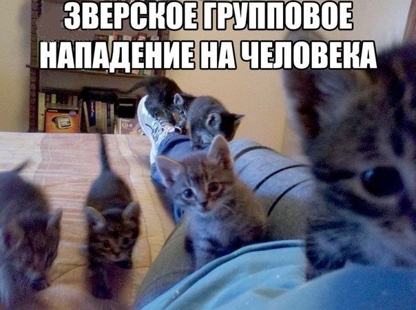 Зверское груповое нападение на человека