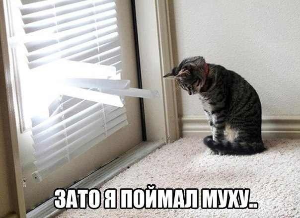 Зато поймал муху