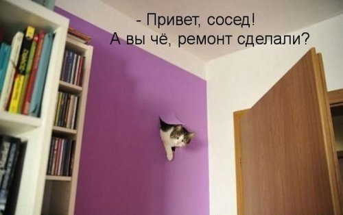 Привет сосед!