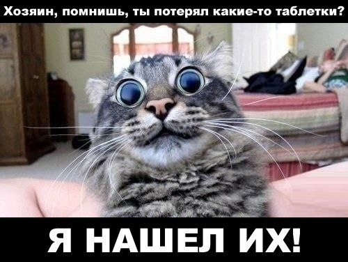 Хозяин, а ты говорил, что молоко варишь