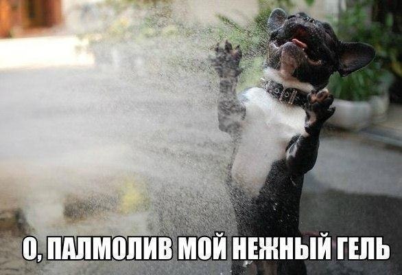 О, Палмолив мой нежный гель