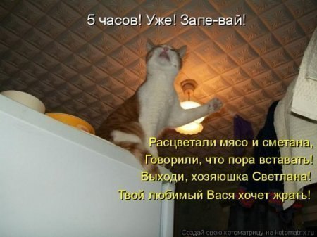 Ой, сейчас запою!