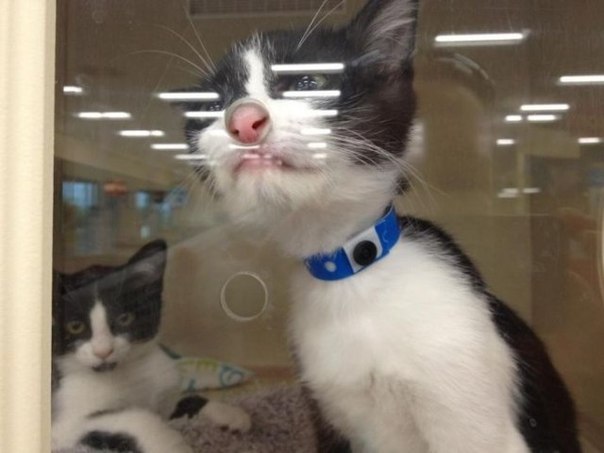 Ничего не вижу