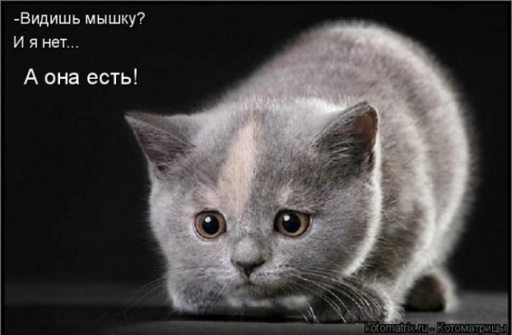 Философия - сложная штука