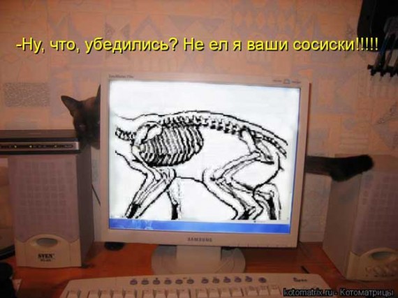 Видите в какой строгости я живу?