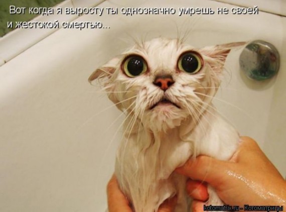 Я ничего не забываю, а на тот случай если забуду - я все записываю.