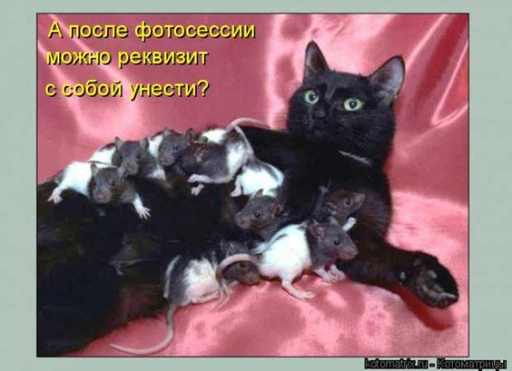 Реквизит я сам наловил, своими собственными лапами.