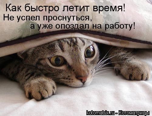 Мда.. и так постоянно..